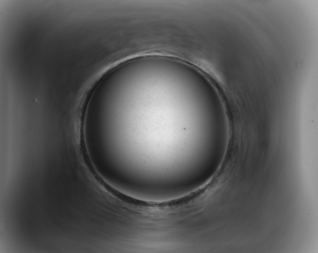 X0000089451504200706151422