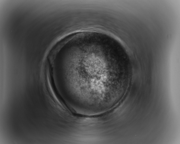 X0000089451506200706151422