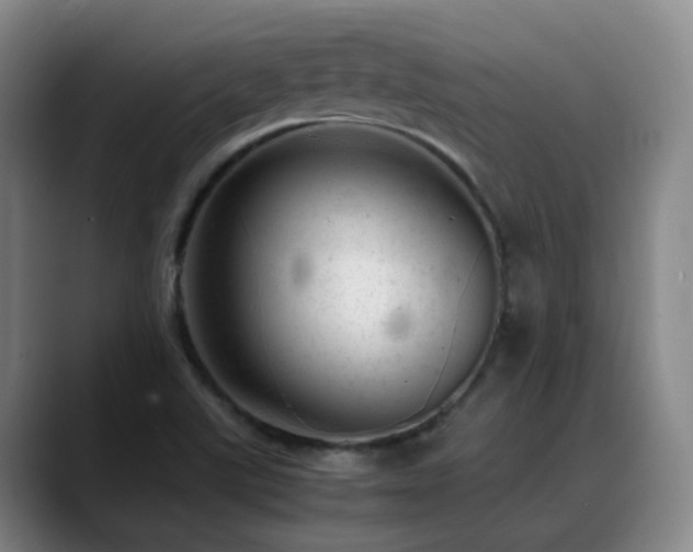 X0000089451507200706151422