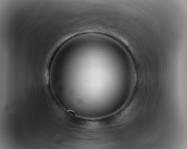 X0000089451509200706151422