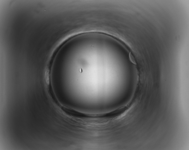 X0000089451510200706151422