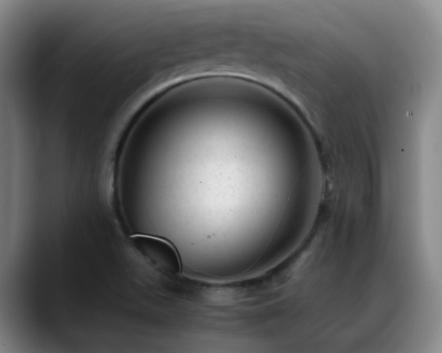 X0000089451511200706151422