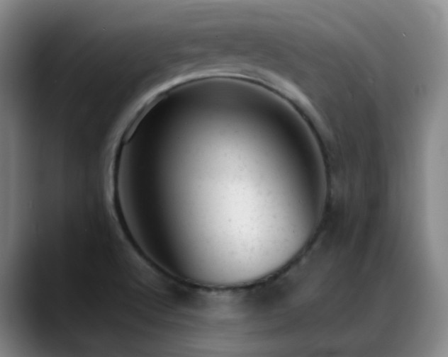 X0000089451512200706151422