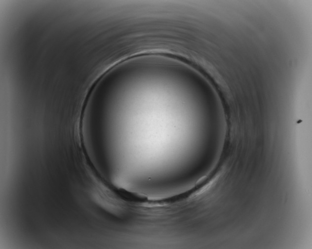 X0000089451513200706151422
