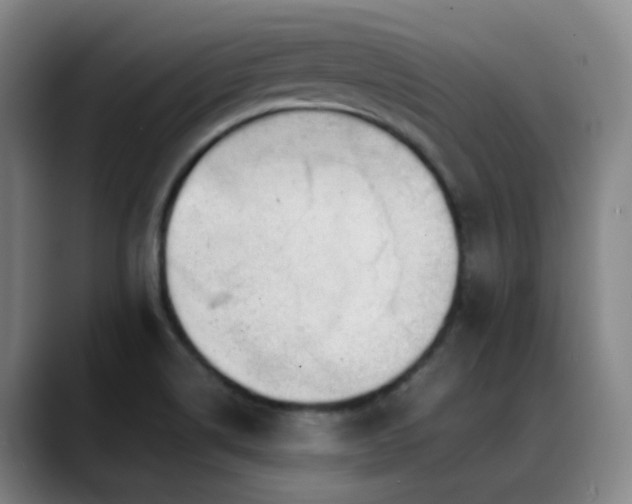 X0000089451514200706151422