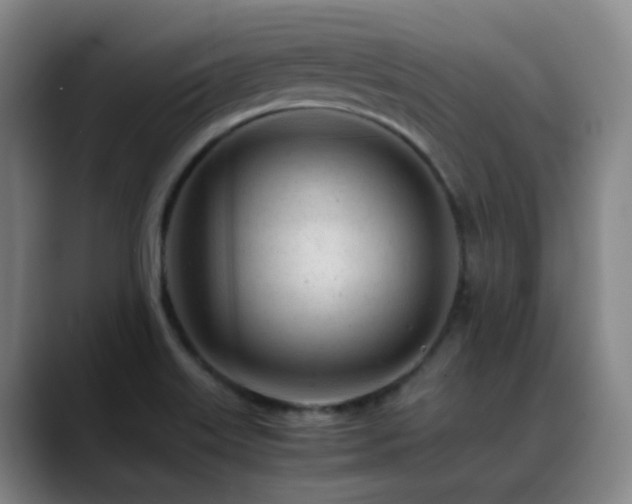 X0000089451515200706151422