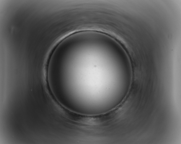 X0000089451517200706151422
