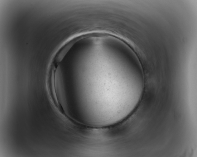 X0000089451518200706151422
