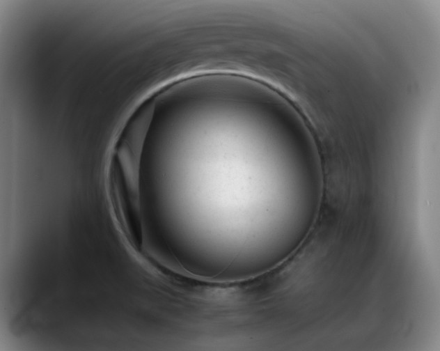 X0000089451519200706151422