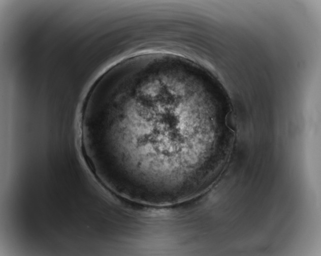X0000089451522200706151422