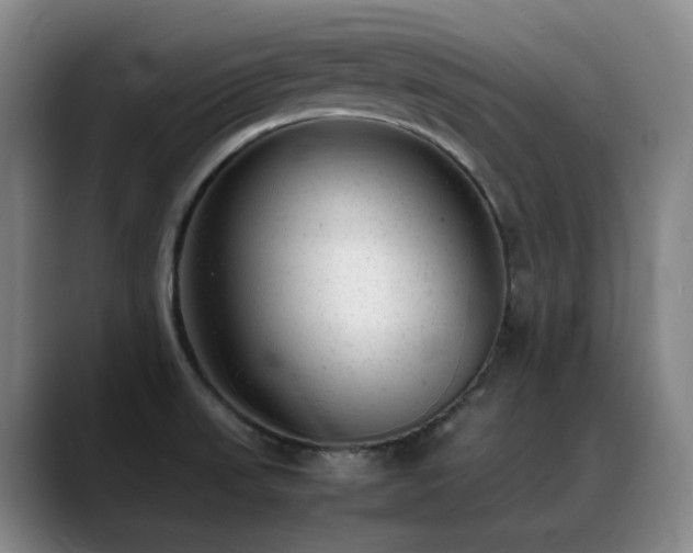 X0000089451523200706151422