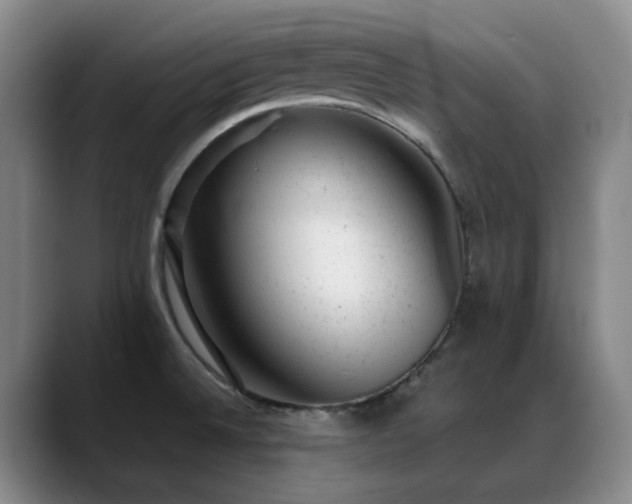 X0000089451524200706151422
