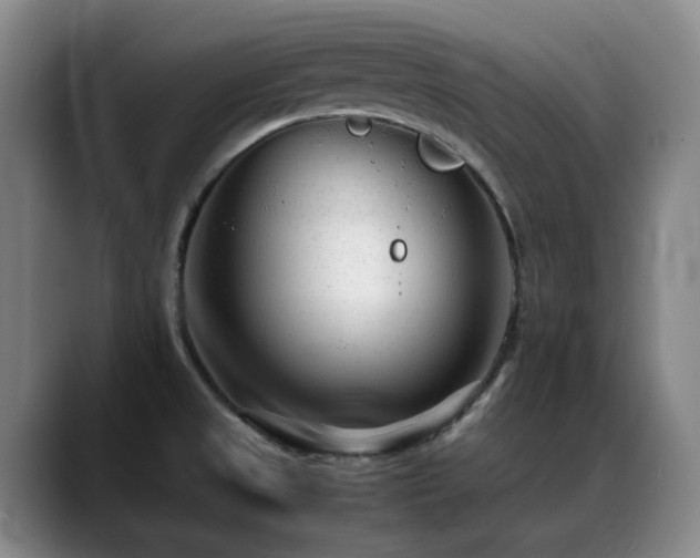 X0000089451525200706151422