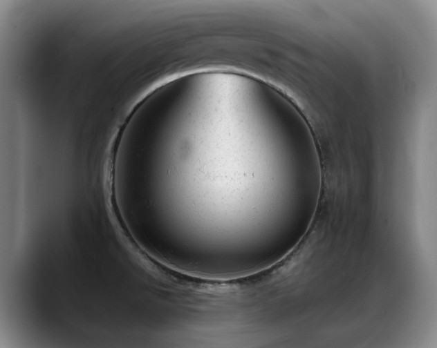 X0000089451526200706151422