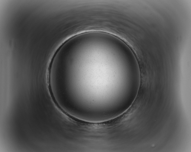 X0000089451527200706151422