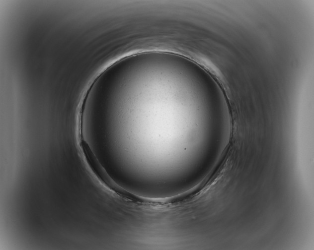X0000089451528200706151422
