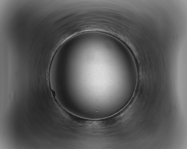 X0000089451529200706151422