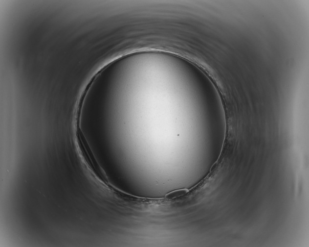 X0000089451530200706151422