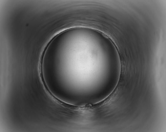 X0000089451531200706151422