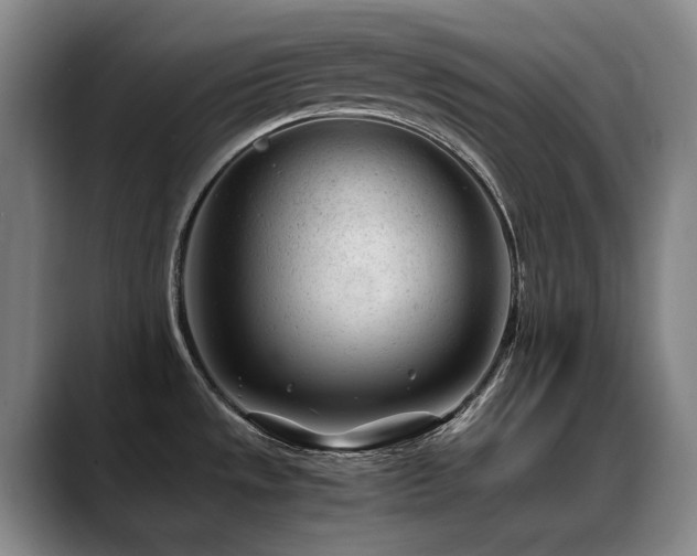 X0000089451533200706151422