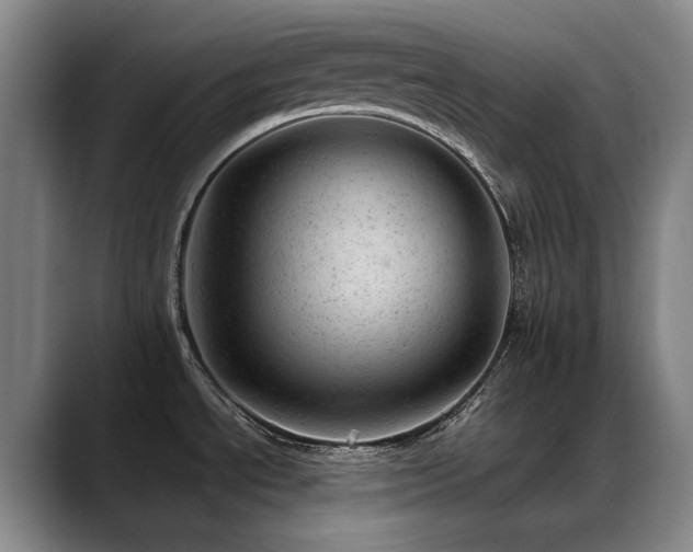 X0000089451534200706151422