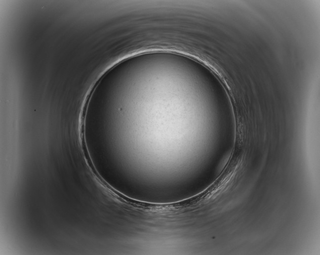 X0000089451535200706151422