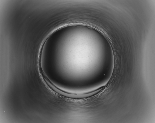 X0000089451536200706151422