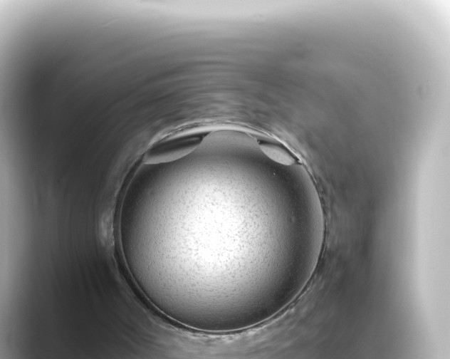 X0000089450002200706221255