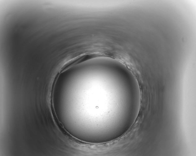 X0000089450003200706221255