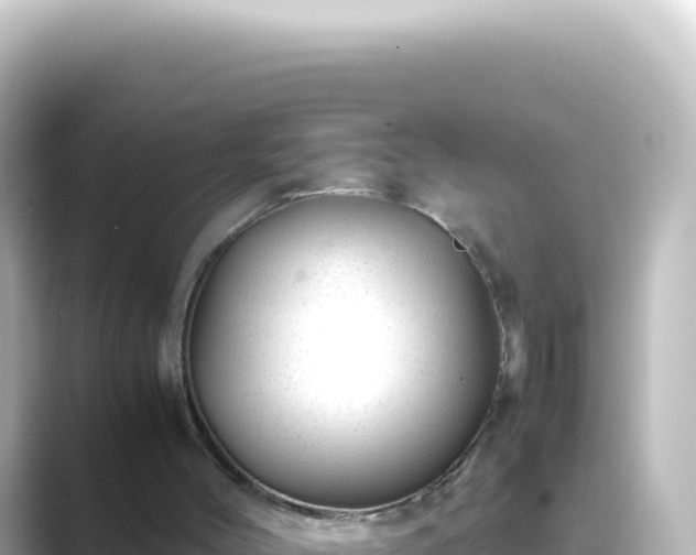 X0000089450004200706221255