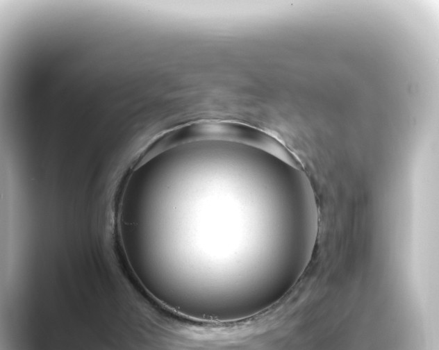 X0000089450005200706221255