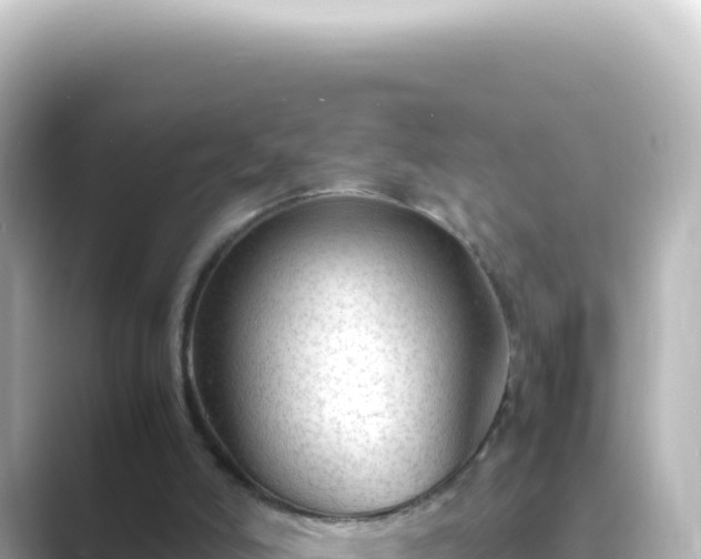 X0000089450006200706221255