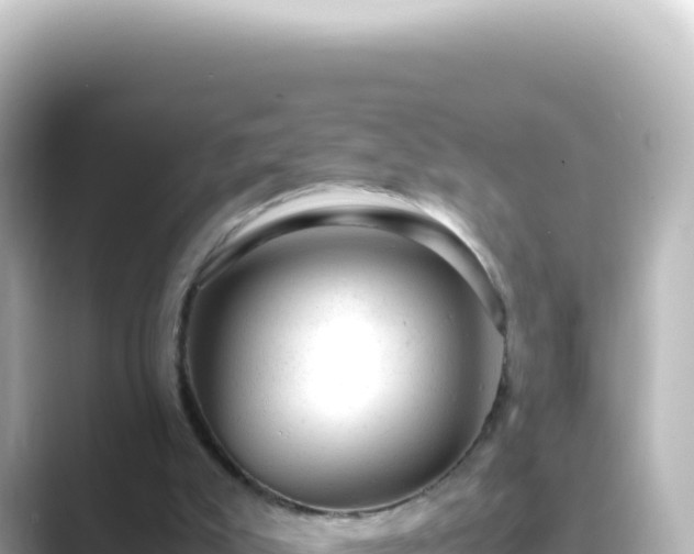X0000089450007200706221255