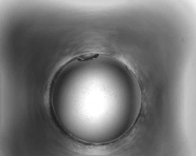 X0000089450008200706221255
