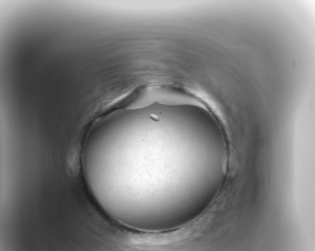 X0000089450009200706221255