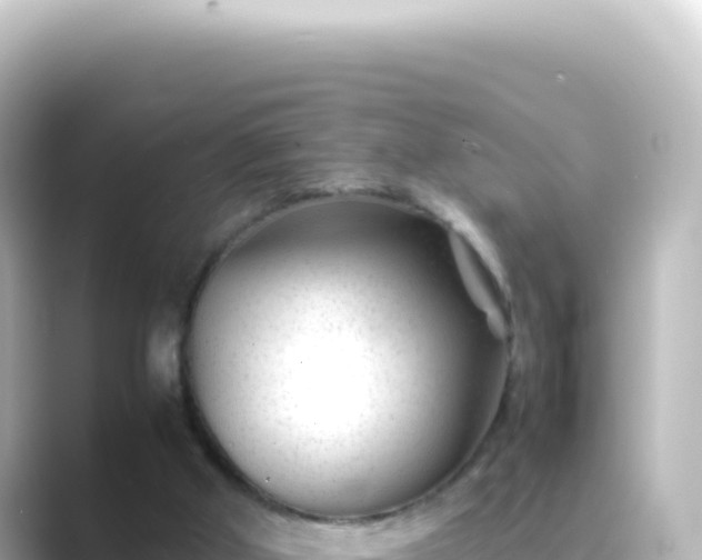 X0000089450010200706221255