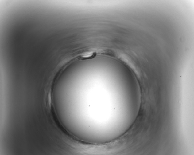 X0000089450011200706221255