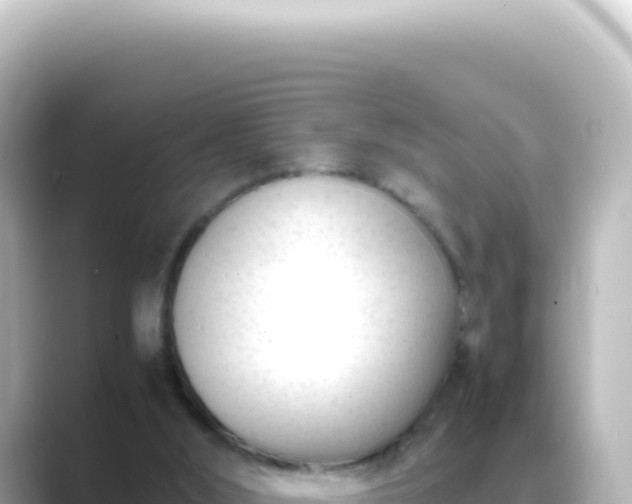 X0000089450012200706221255