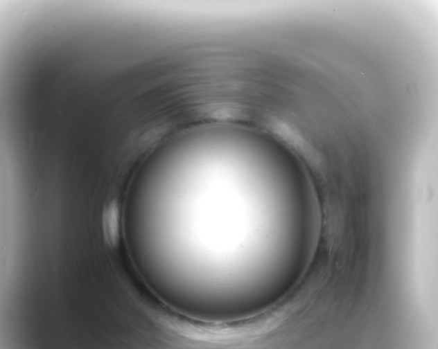 X0000089450014200706221255