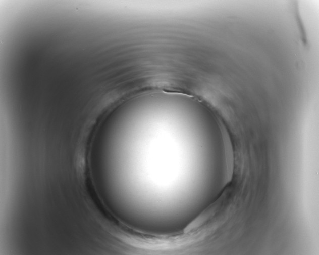 X0000089450015200706221255