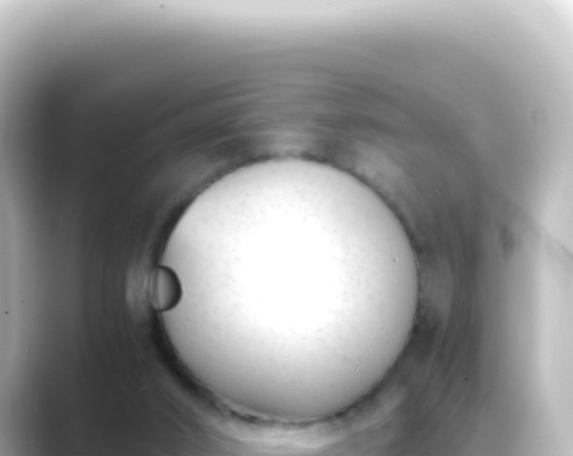 X0000089450016200706221255