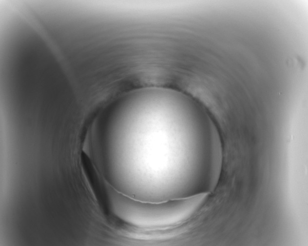 X0000089450017200706221255