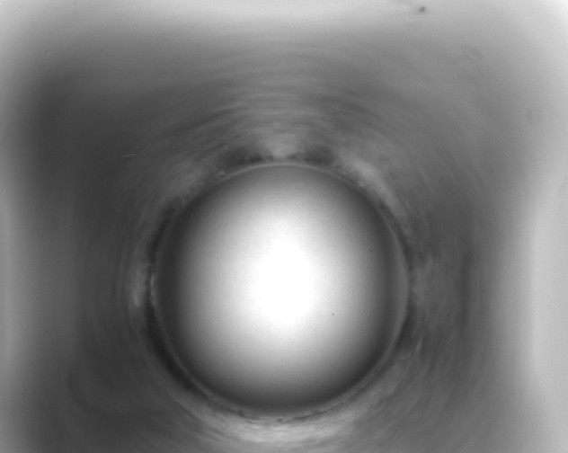 X0000089450018200706221255