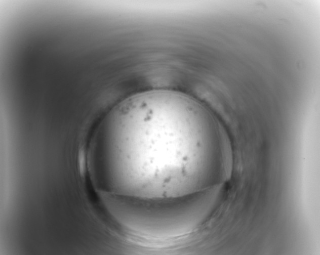 X0000089450019200706221255