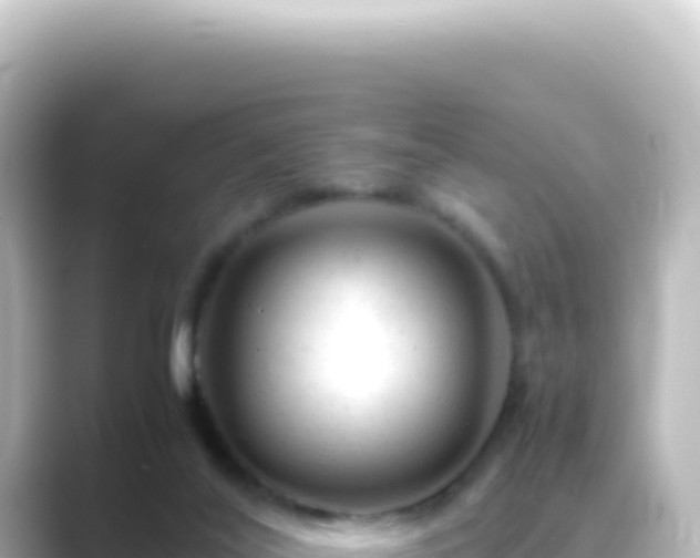 X0000089450020200706221255