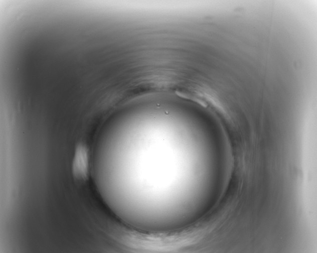 X0000089450022200706221255