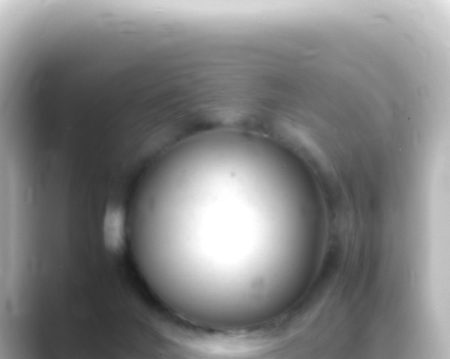 X0000089450024200706221255