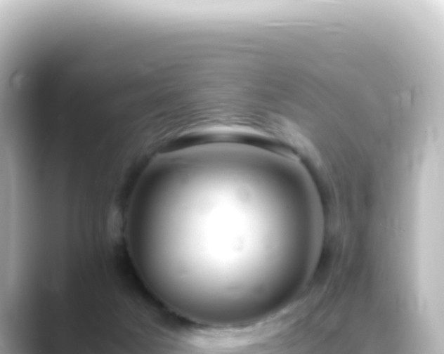 X0000089450025200706221255