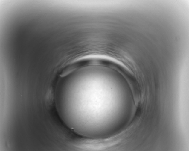 X0000089450029200706221255
