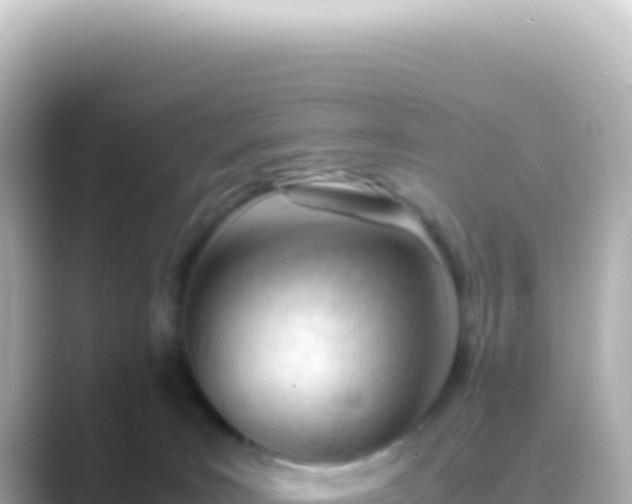 X0000089450035200706221255